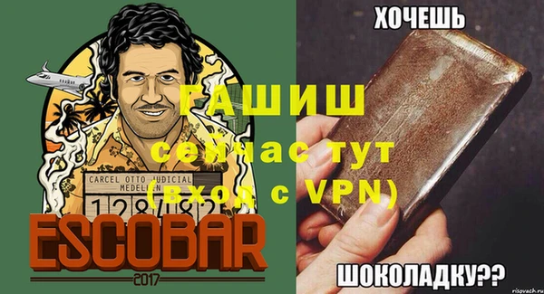 шишки Белокуриха